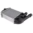 TEKNÖR CNG-FT-018 - Intercooler, échangeur