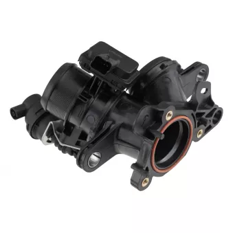 Corps papillon TEKNÖR [ETB-PE-005]