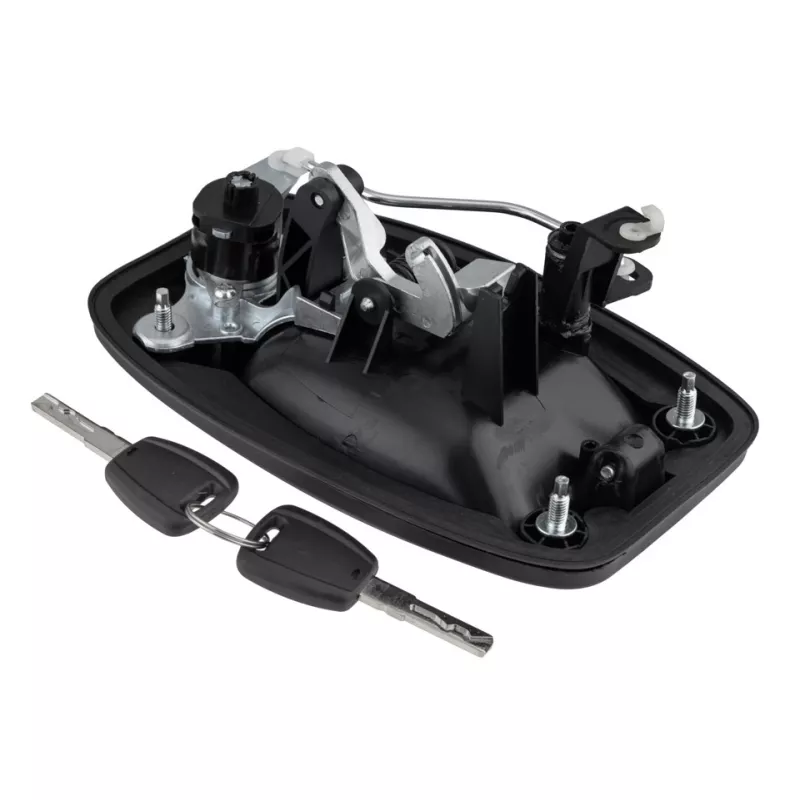 Poignée extérieure de porte TEKNÖR EZC-FT-298 - Visuel 1