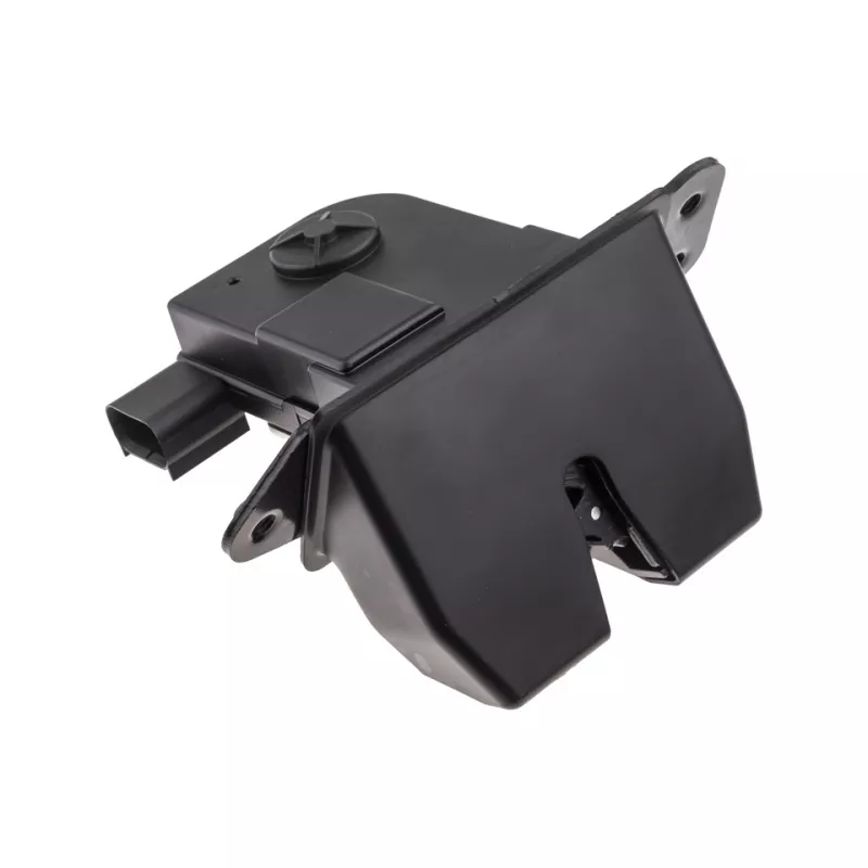 Serrure de hayon TEKNÖR EZC-HY-743 - Visuel 1