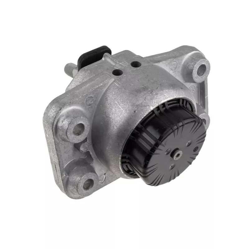 Support moteur TEKNÖR ZPS-LR-013 - Visuel 1