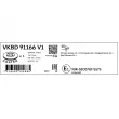 SKF VKBD 91166 V1 - Jeu de 2 disques de frein avant