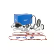 Pompe à eau + kit de courroie crantée SKF [VKMC 03306]