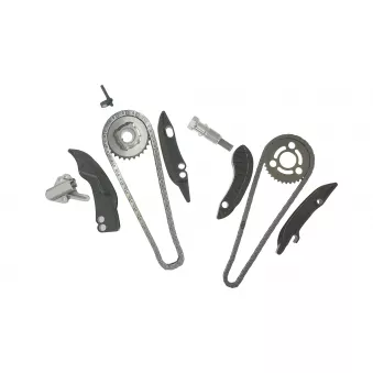 Kit de distribution par chaîne SKF OEM 11318510014