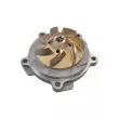 SKF VKPC 88505 - Pompe à eau
