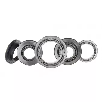 Suspension, boîte manuelle SKF OEM 0019817205