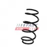 FAST FT01971 - Ressort de suspension