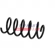 Ressort de suspension FAST [FT01992]