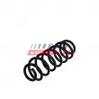 FAST FT02025 - Ressort de suspension