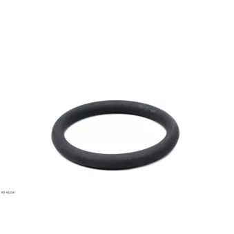 Gaine de suralimentation TEKNÖR RS 42234 pour RENAULT MEGANE 1.5 dCi - 90cv