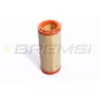 BREMSI FA0583 - Filtre à air