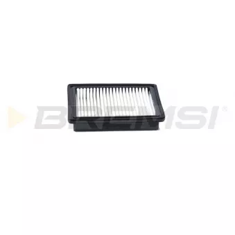 Filtre à air BREMSI OEM 95238310