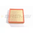 BREMSI FA2545 - Filtre à air
