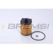 BREMSI FL0290 - Filtre à huile