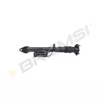 BREMSI SA2436 - Jeu de 2 amortisseurs arrière