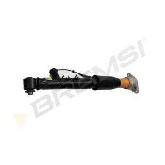 BREMSI SA2534 - Amortisseur arrière droit