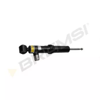 BREMSI SA2542 - Jeu de 2 amortisseurs arrière