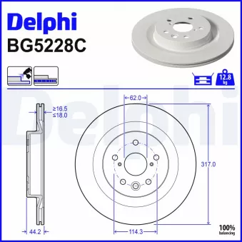 Jeu de 2 disques de frein arrière DELPHI BG5228C