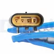 DELPHI ES21509-12B1 - Sonde lambda