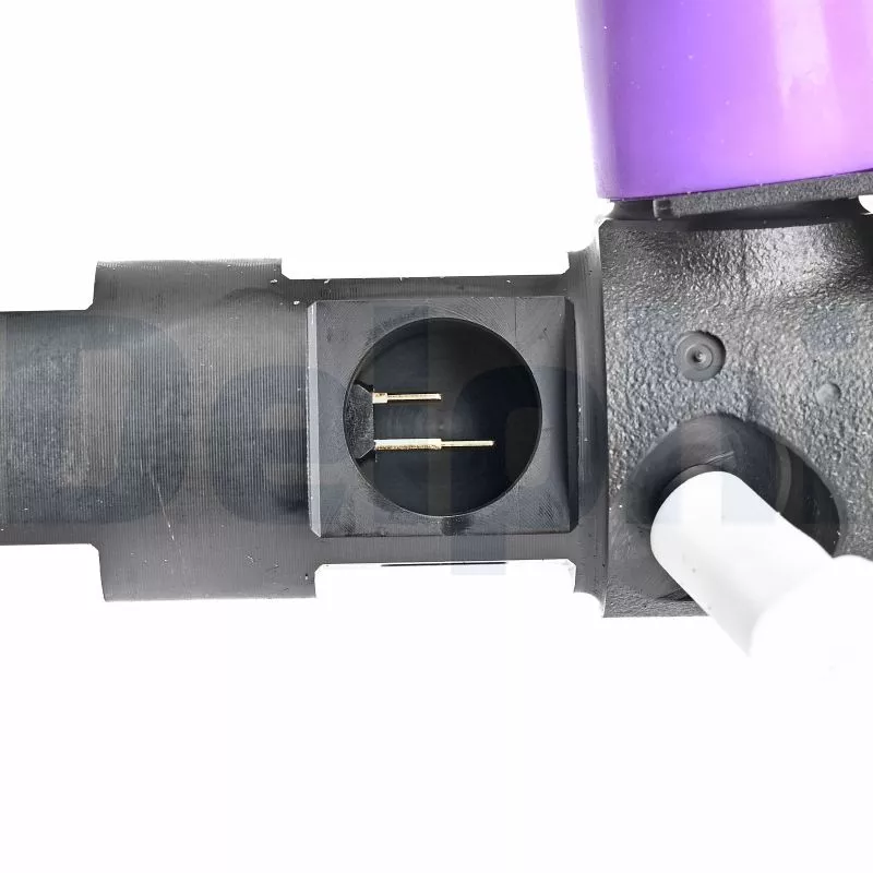 Porte-injecteur DELPHI HRD356 - Visuel 1