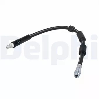 Flexible de frein DELPHI OEM 4806N6