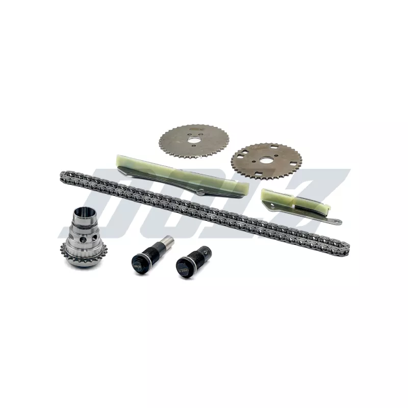 Kit de distribution par chaîne DOLZ SKCC060F - Visuel 1