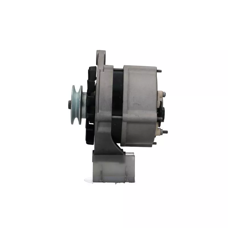 Alternateur BV PSH 135.011.070.215 - Visuel 1