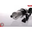 ESEN SKV 02SKV006 - Pompe à carburant