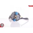 ESEN SKV 02SKV015 - Pompe à carburant