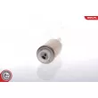 ESEN SKV 02SKV219 - Pompe à carburant