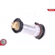ESEN SKV 02SKV226 - Pompe à carburant