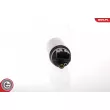 ESEN SKV 02SKV234 - Pompe à carburant