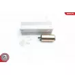 Pompe à carburant ESEN SKV [02SKV235]