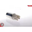 Pompe à carburant ESEN SKV [02SKV237]