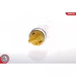 ESEN SKV 02SKV243 - Pompe à carburant
