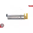 ESEN SKV 02SKV243 - Pompe à carburant