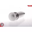 ESEN SKV 02SKV253 - Pompe à carburant