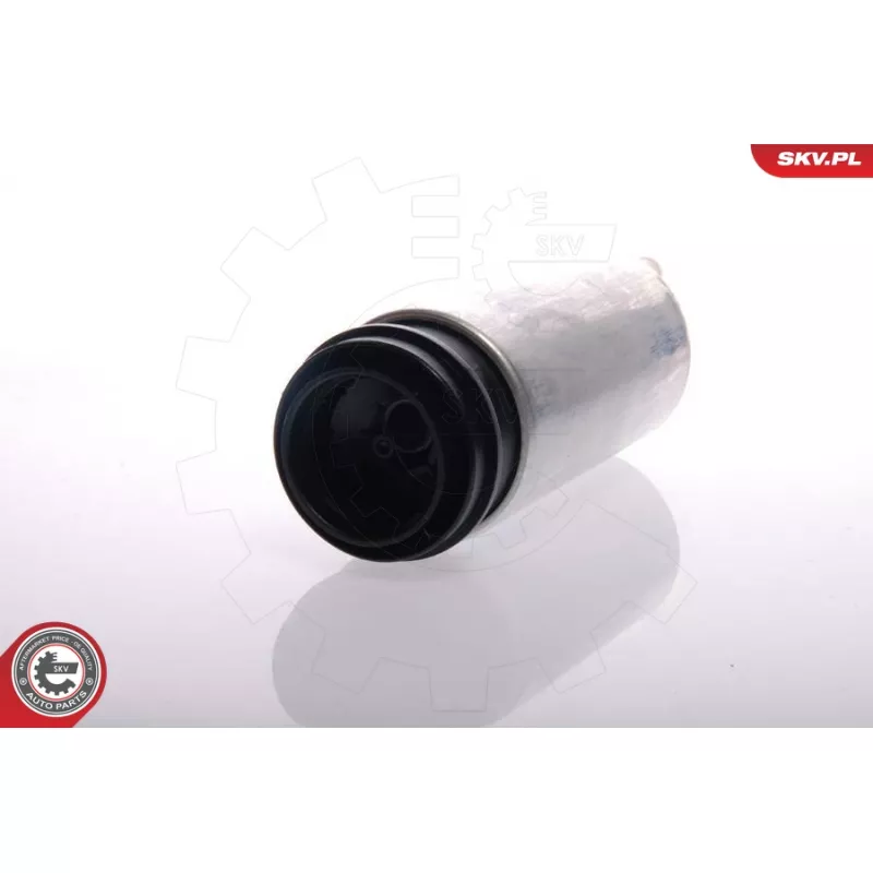 Pompe à carburant ESEN SKV 02SKV266 - Visuel 1