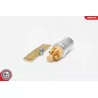 ESEN SKV 02SKV268 - Pompe à carburant