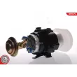 ESEN SKV 02SKV270 - Pompe à carburant