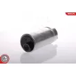 ESEN SKV 02SKV272 - Pompe à carburant