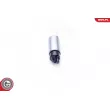 ESEN SKV 02SKV282 - Pompe à carburant