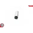 ESEN SKV 02SKV293 - Pompe à carburant