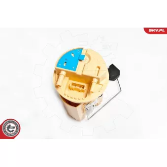 Unité d'injection de carburant ESEN SKV 02SKV715