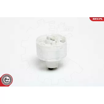 Unité d'injection de carburant ESEN SKV 02SKV724