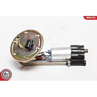 Unité d'injection de carburant ESEN SKV 02SKV745