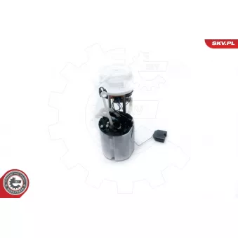 Unité d'injection de carburant ESEN SKV 02SKV754 pour VOLKSWAGEN PASSAT 2.0 TSI - 210cv