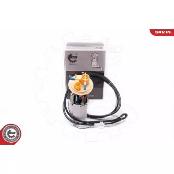 Unité d'injection de carburant ESEN SKV 02SKV790 pour HONDA ACCORD 2.5 T - 209cv