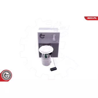 Unité d'injection de carburant ESEN SKV 02SKV803 pour CITROEN C3 1.4 LPG - 95cv