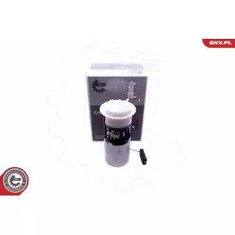 Unité d'injection de carburant ESEN SKV OEM 133398